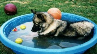 Aww! This is the Life!