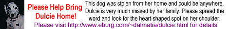 Please help bring Dulcie HOME - click here for details