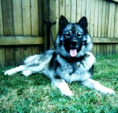 Toky Smile for Camera