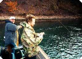 FISH, as in plural, ON!