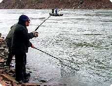 Here he comes, here he comes...