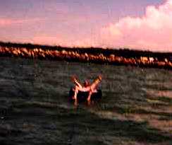 Kickin' It on the Tube at the Swim Beach!