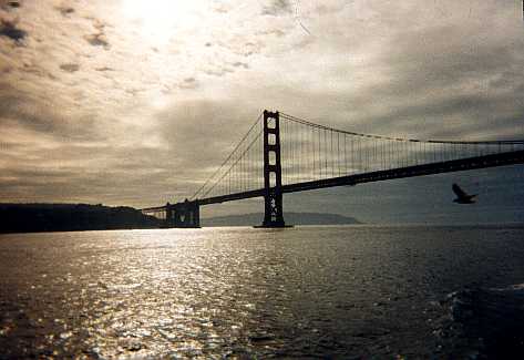 Golden Gate sillouette in late evening, seagull on the way by...