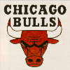 Chicago Bulls Logo