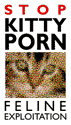 Kitty.gif (4436 bytes)