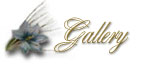 Welcome to my galleria