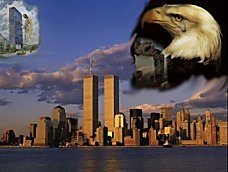 collage.jpg (12211 bytes)