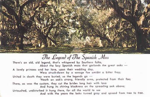 tx10.jpg (61375 bytes)