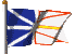 Flag of Newfoundland