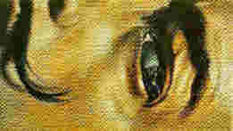 Macrophotagraphic Self-Portrait with the Appearance of Gala, 1962 -Salvador Dali