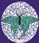 My Luna Moth painting, Simplified a bit.