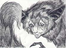 Aye-aye.This is a commissioned piece for a lemur enthusuast.It was done in inks.