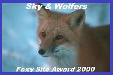 Sky and Wolfer