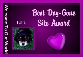 Welcome To Our World