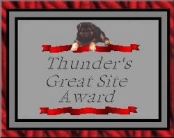 THUNDER'S GREAT SITE AWARD-Click here to nominate a site!