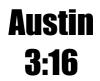 austin 316