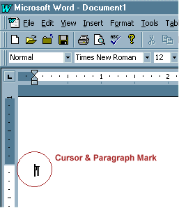 Blank word document showing the paragraph mark