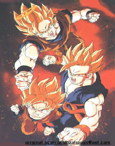 Son Goku's Family