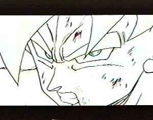 Goku after transformation