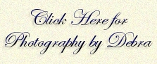 Photography by Debra