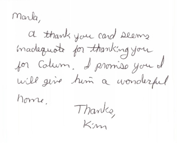 NO THANK YOU! for giving Calum such a wonderful home!