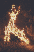 #409 Large 3-D Deer