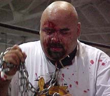 Sheik Abdull wearing a dog collar!