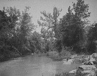Chickamauga Creek near Reed's Bridge