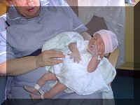 0407.JPG (53064 bytes)