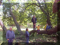 0505.JPG (60584 bytes)