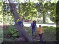 0525.JPG (59016 bytes)