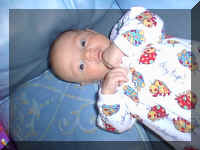 0587.JPG (51528 bytes)