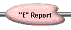 "E" Report