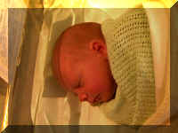 Jacob 280401m.jpg (57344 bytes)