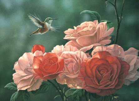 lukeraffincoreesroses.gif (101102 bytes)