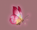 https://www.angelfire.com/oh4/poets/stacybutterfly.gif (7807 bytes)