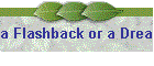 a Flashback or a Dream