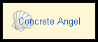 Concrete Angel