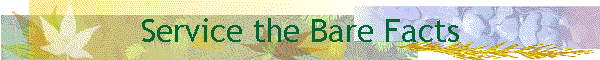 Service the Bare Facts
