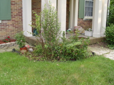 The House Before Lanscaping