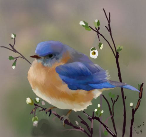 bluebird