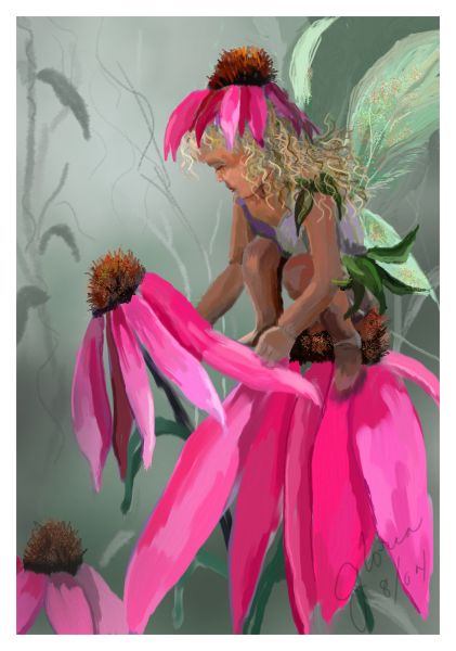 coneflowerfairy