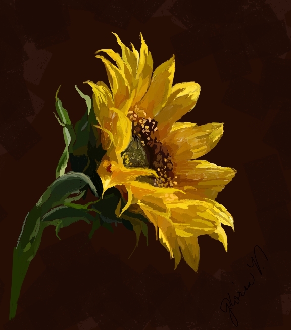 sunflower