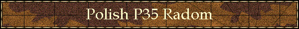 Polish P35 Radom