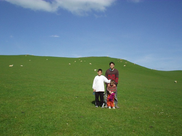 Doron, Yoav and Yotam