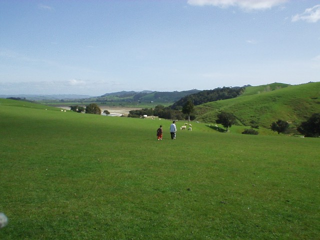 Yoav and Yotam walking in the grass