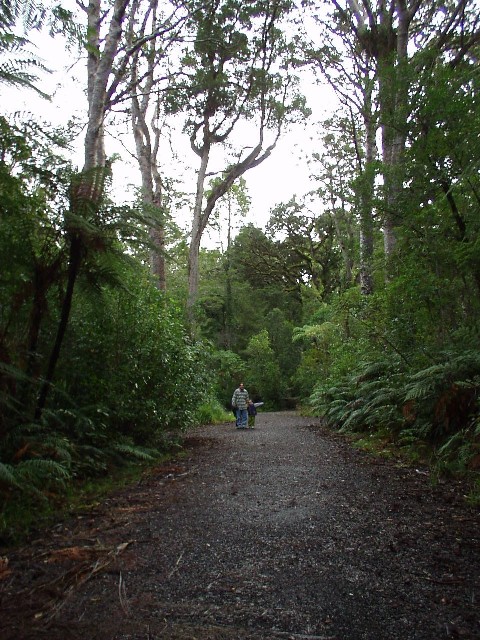 Doron and Yotam in the forest