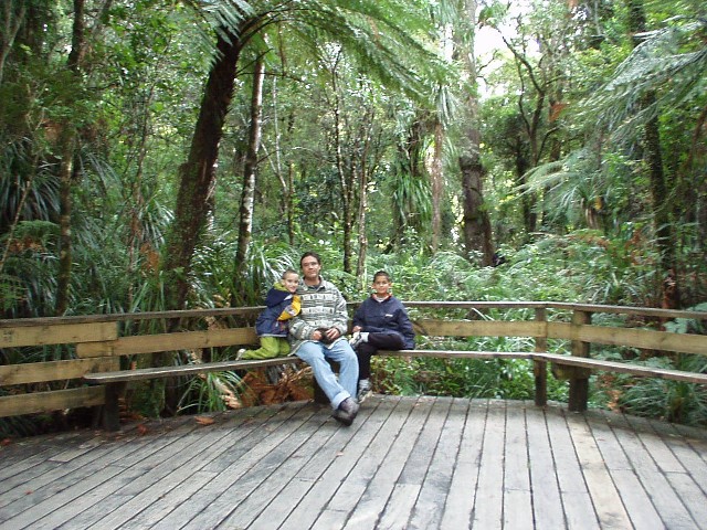 Yoav, Yotam and Doron in the forest