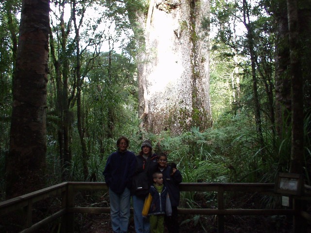 Yoav, Yotam, Nomi and me in front of a tree