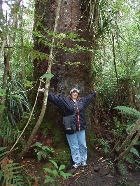 a small tree and Michal